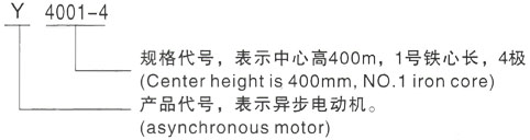 西安泰富西玛Y系列(H355-1000)高压YR4001-4/200KW三相异步电机型号说明